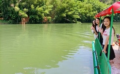 日女星桥本爱实怀孕